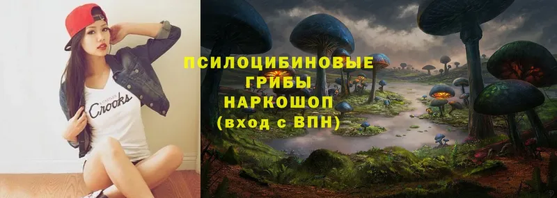 Галлюциногенные грибы Psilocybe  закладки  Колпашево 